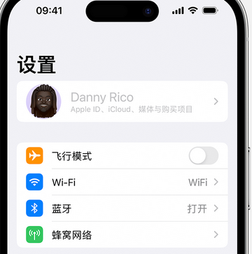 南圣镇appleID维修服务iPhone设置中Apple ID显示为灰色无法使用