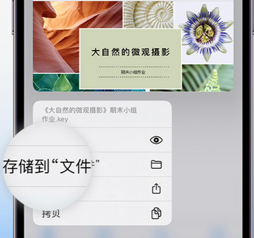 南圣镇apple维修中心分享iPhone文件应用中存储和找到下载文件