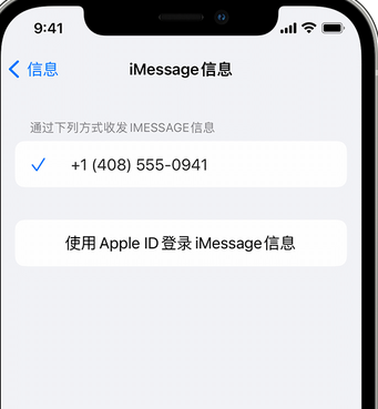 南圣镇apple维修iPhone上无法正常发送iMessage信息 