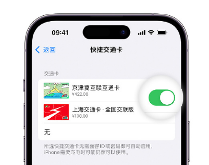 南圣镇apple维修点分享iPhone上更换Apple Pay快捷交通卡手绘卡面 