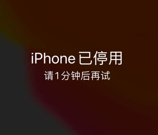 南圣镇苹果手机维修分享:iPhone 显示“不可用”或“已停用”怎么办？还能保留数据吗？ 