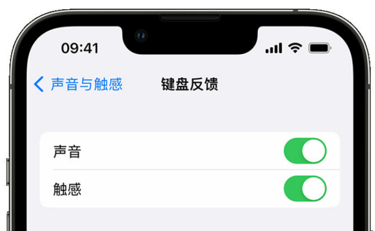 南圣镇苹果手机维修分享iPhone 14触感键盘使用方法 