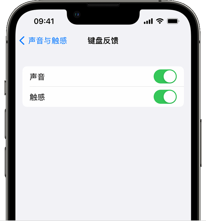 南圣镇苹果14维修店分享如何在 iPhone 14 机型中使用触感键盘 