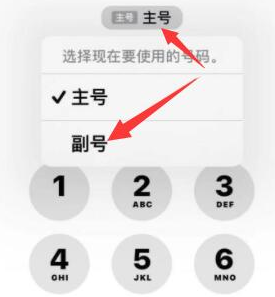 南圣镇苹果14维修店分享iPhone 14 Pro Max使用副卡打电话的方法 