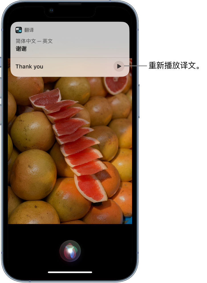 南圣镇苹果14维修分享 iPhone 14 机型中使用 Siri：了解 Siri 能帮你做什么 