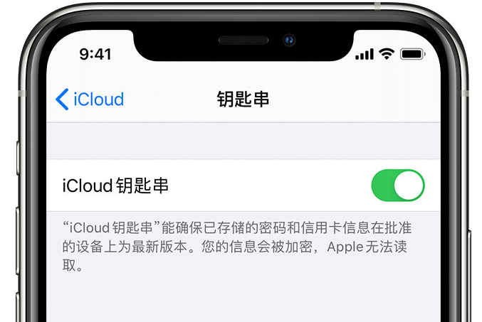 南圣镇苹果手机维修分享在 iPhone 上开启 iCloud 钥匙串之后会储存哪些信息 