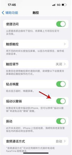 南圣镇苹果手机维修分享iPhone手机如何设置摇一摇删除文字 