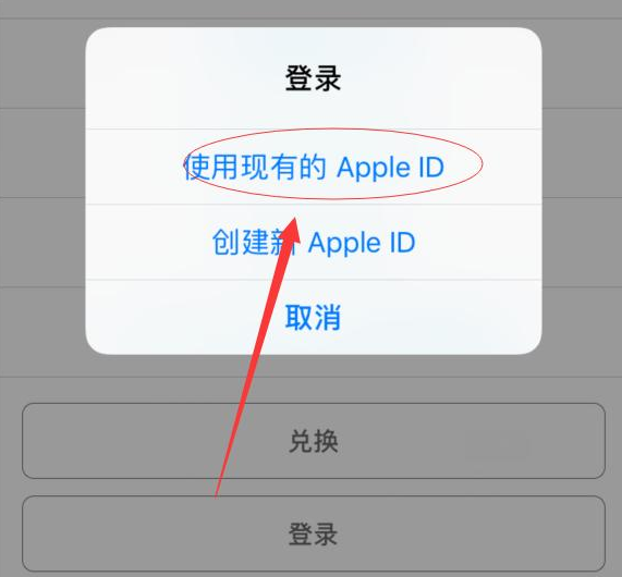 南圣镇苹果手机维修分享两台iPhone设备可以同时登录一个Apple ID吗 