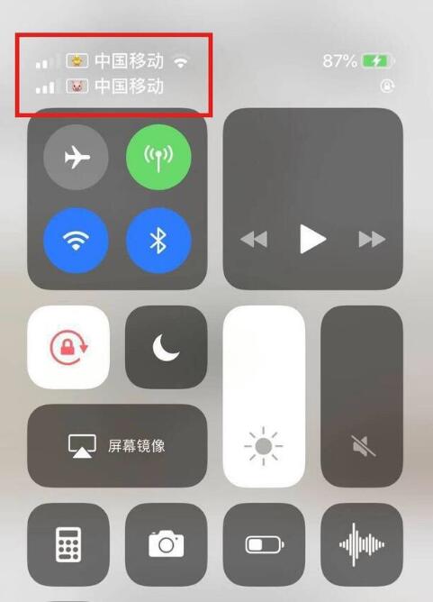南圣镇苹果手机维修分享为 iPhone 12 双卡设置标签 
